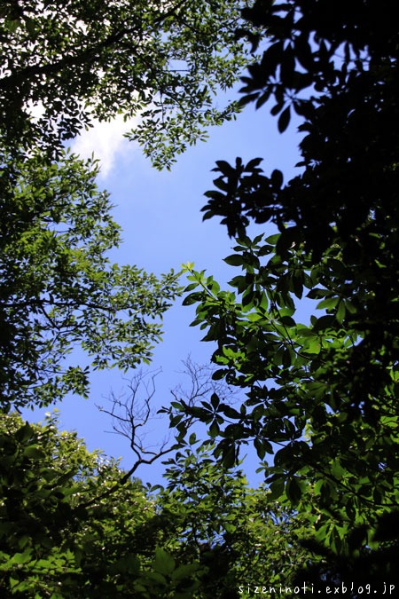 f0147858_9352636.jpg