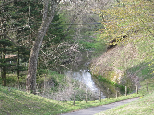 f0236260_1433921.jpg