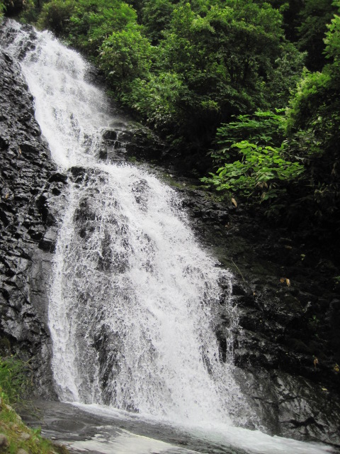 f0216062_1534284.jpg