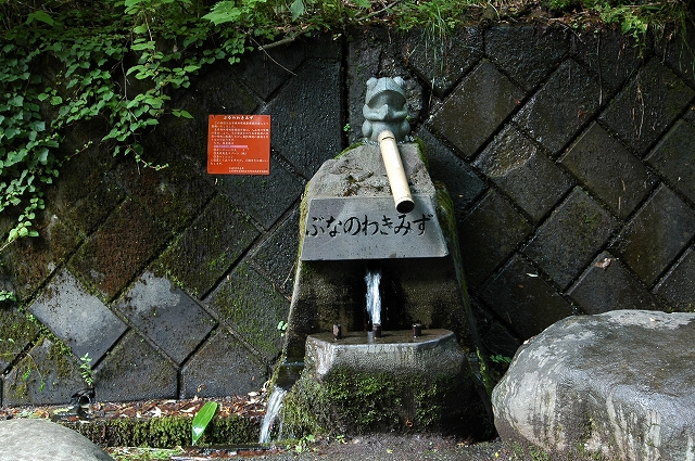 c0212083_22551257.jpg