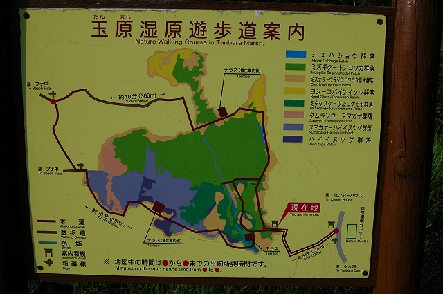 c0212083_22564682.jpg