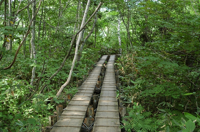 c0212083_22571050.jpg