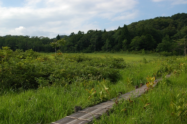 c0212083_22581234.jpg