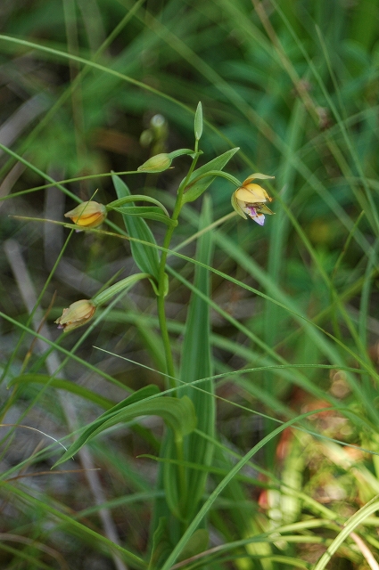 c0212083_23125437.jpg