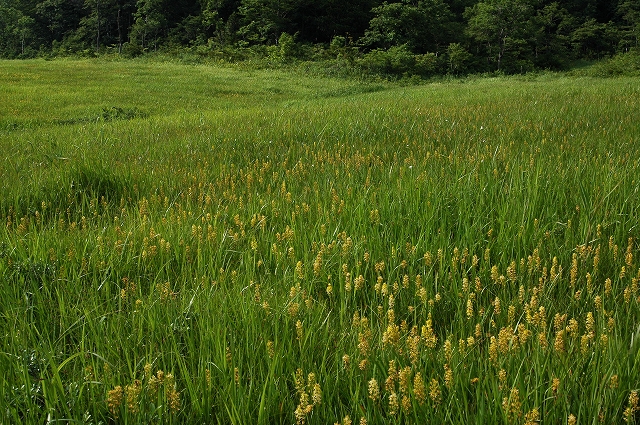 c0212083_231737.jpg