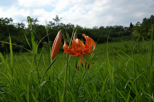 c0212083_2323672.jpg