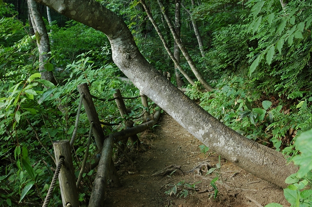 c0212083_2375095.jpg