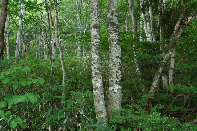 c0212083_2385980.jpg