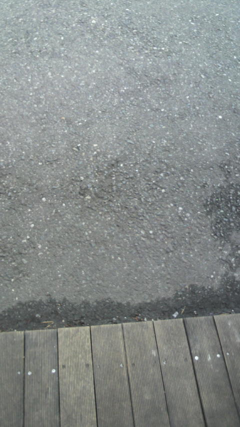 暑すぎ_a0075684_139166.jpg