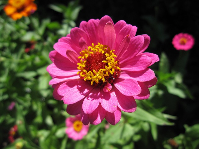 b0182884_23323791.jpg