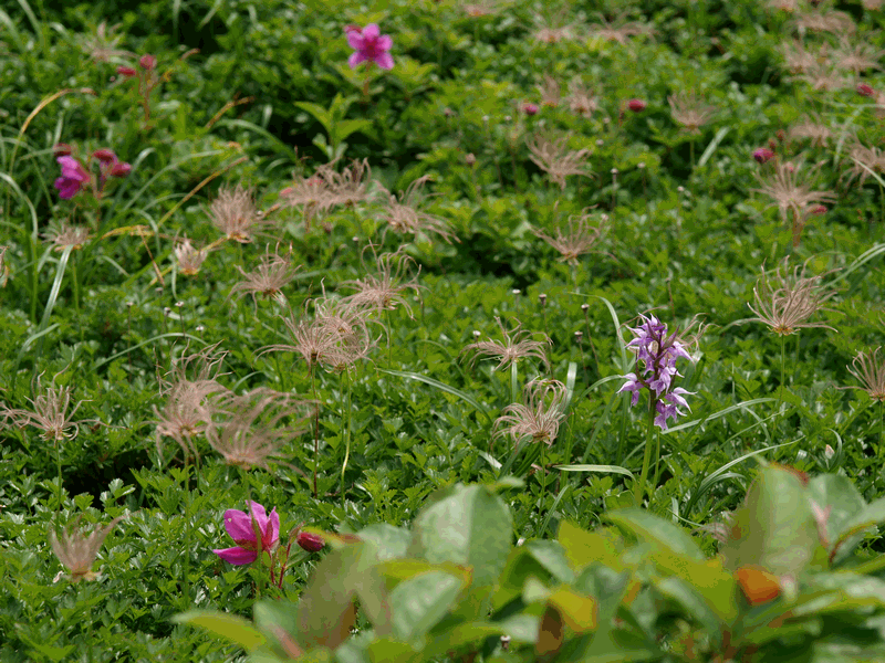 b0108186_2350470.gif