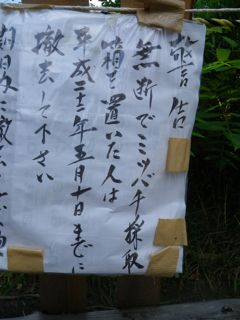 テストライド_e0149587_16472498.jpg