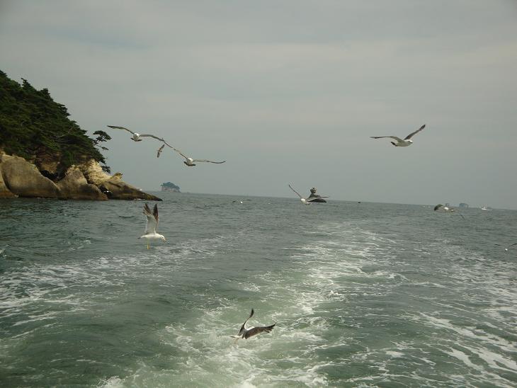 f0075595_030545.jpg