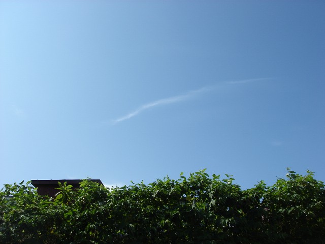 a0158797_11831.jpg