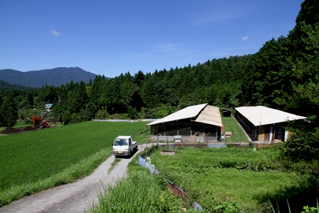 e0188897_2442229.jpg