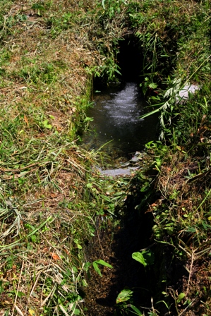 e0188897_2502121.jpg