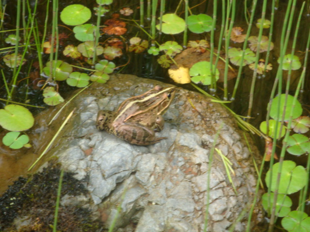 e0175905_20145154.jpg