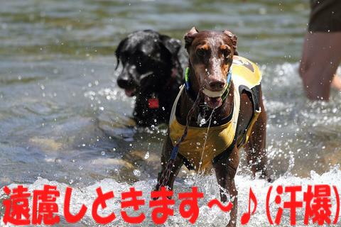 e0100007_1651201.jpg