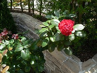 f0006509_14321538.jpg