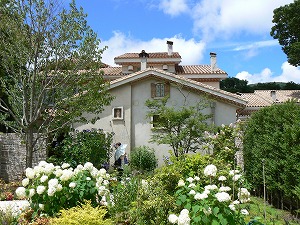 f0006509_1433186.jpg