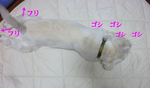a0161111_14211517.jpg