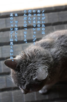 自然乾燥のロッタ_e0156015_20352187.jpg