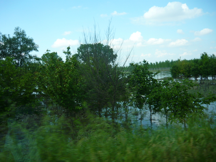 c0159117_230744.jpg