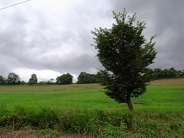 c0164318_1594663.jpg