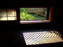 睡蓮 part3_d0041124_15344614.jpg