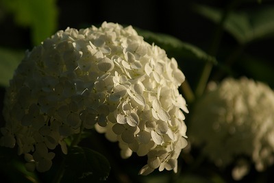 f0170524_13152445.jpg