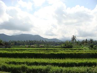 a0120328_1159266.jpg