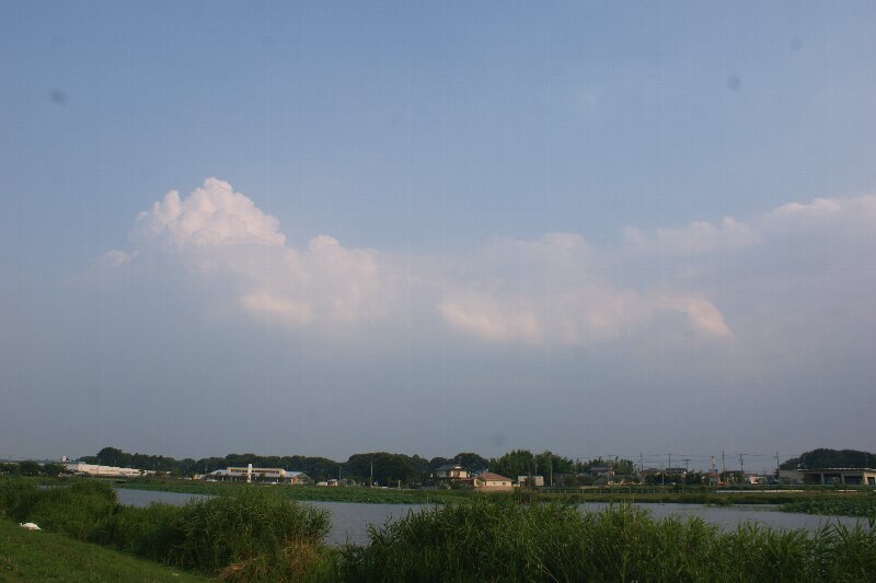a0122932_14588.jpg