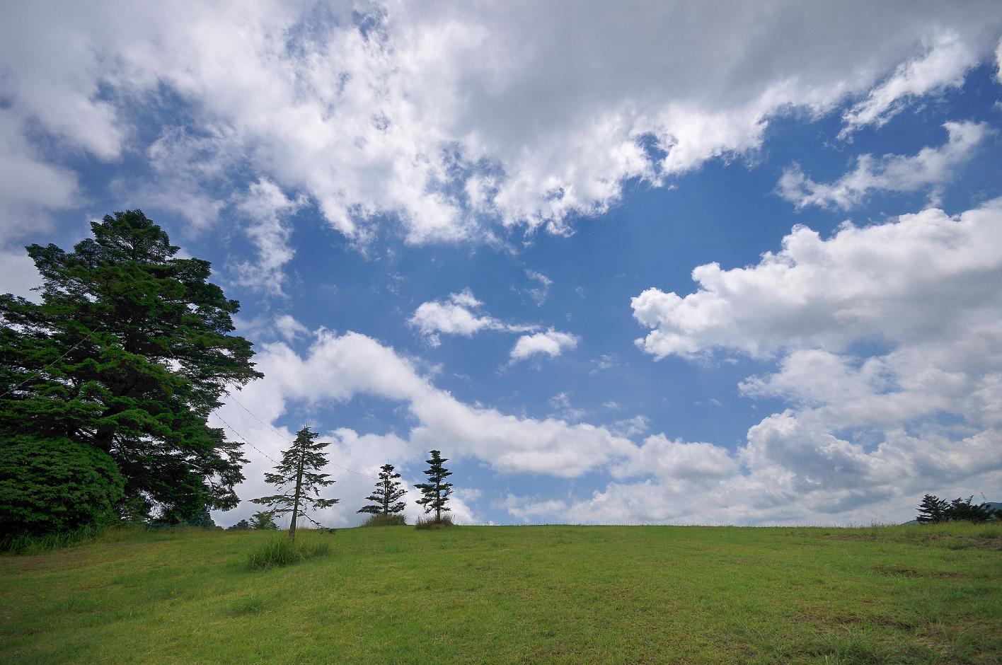 ■■■ もみの木森林公園_c0152332_874510.jpg