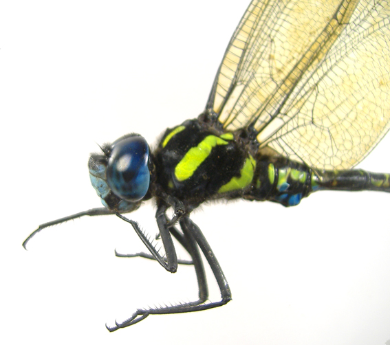 a0126535_4535215.jpg