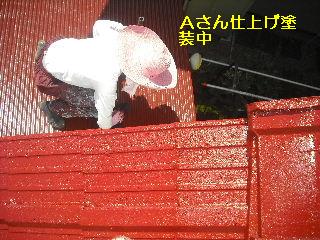 屋根塗装・・完成_f0031037_20431475.jpg