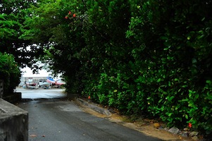 f0236145_823288.jpg