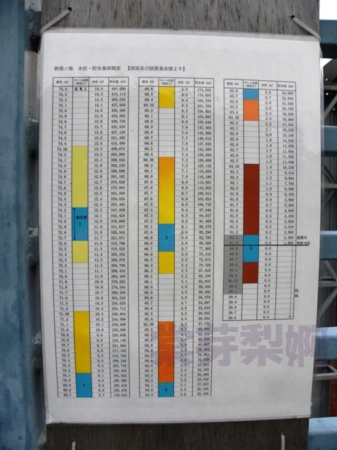 新滝の池（大阪府泉佐野市上之郷）　2010年2月9日_e0178757_23254097.jpg