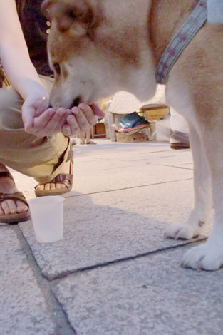 難波神社の夏祭り_f0196559_13511647.jpg