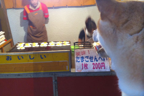 難波神社の夏祭り_f0196559_1355430.jpg