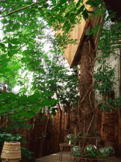 f0016868_2246066.gif