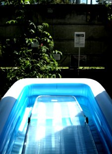 ▼サマーハウス_d0017381_16403373.jpg