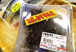 b0068687_2159554.jpg