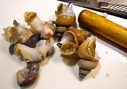 b0068687_22173872.jpg