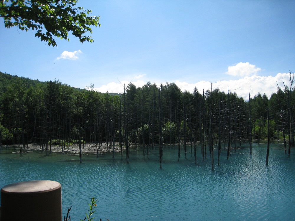 c0132387_08358.jpg