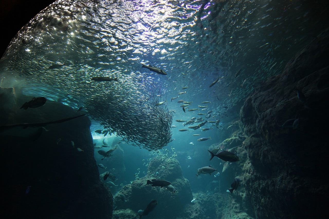 e0127887_10364164.jpg