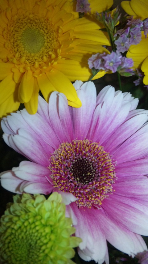 f0063488_83533.jpg