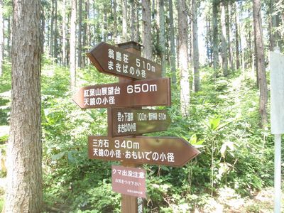 罠に注意_a0096989_22251192.jpg