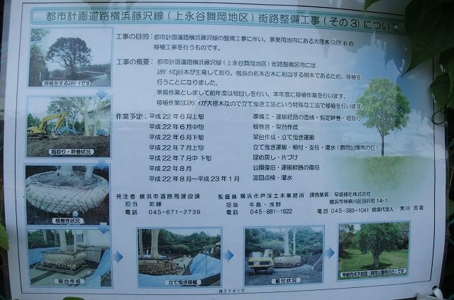 e0070891_21122312.jpg