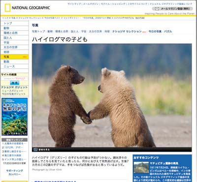 はいいろクマ Nanahoshi Nikki はいいろクマ Nanahoshi Nikki