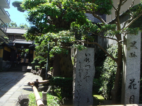 e0111793_1431241.jpg